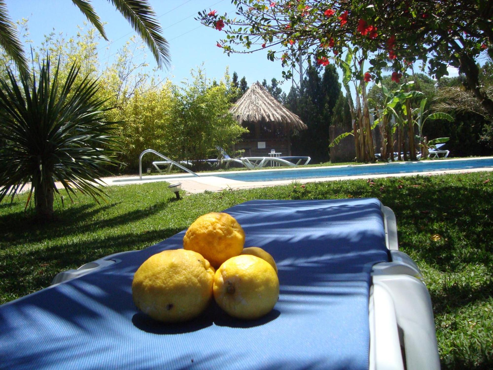 Bungalows Puravida Zahora Zewnętrze zdjęcie